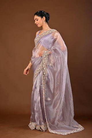 Light Greyish Tissue Saree with Heavy Salma Outline with Mirror, Cutdana