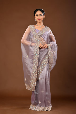 Light Greyish Tissue Saree with Heavy Salma Outline with Mirror, Cutdana