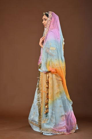 Multi Shaded Odhna Rajputi Poshak with Zardozi and tiki in Pure Georgette