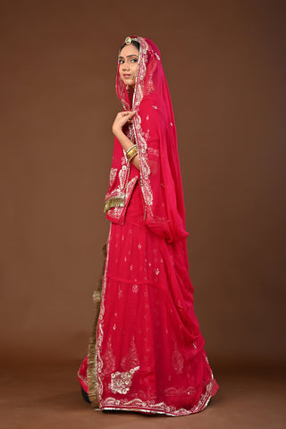 Rani Traditional Rajputi Poshak in Pure Georgette with Jamdani Aari Pittan Work