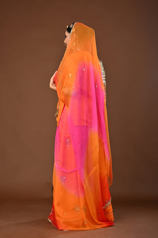 Multi Shaded Odhna Pure Georgette Rajputi Poshak featuring Aari Pittan with kasab Embroidery