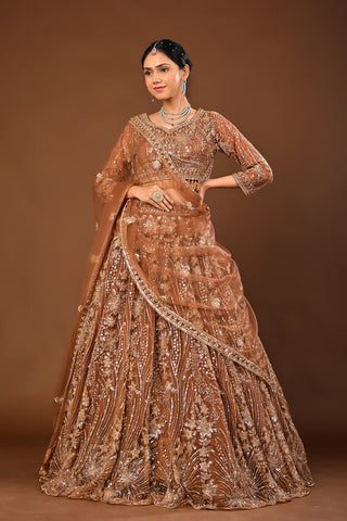 Brown Soft Net Lehenga with Cutdana, Tubelight and Beads