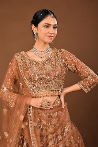Brown Soft Net Lehenga with Cutdana, Tubelight and Beads