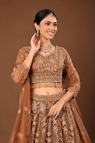 Brown Soft Net Lehenga with Cutdana, Tubelight and Beads