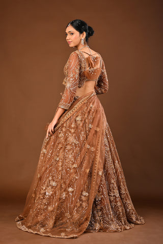 Brown Soft Net Lehenga with Cutdana, Tubelight and Beads