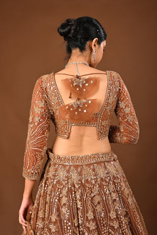 Brown Soft Net Lehenga with Cutdana, Tubelight and Beads
