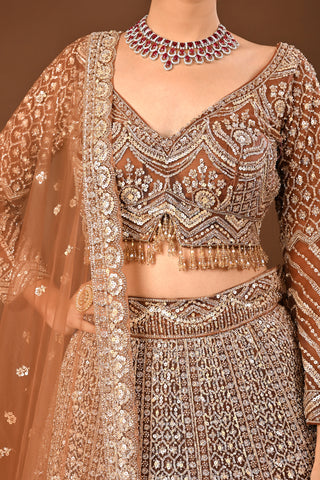 Coffee Brown Lehenga in Soft Net featuring Cutdana with Sequins