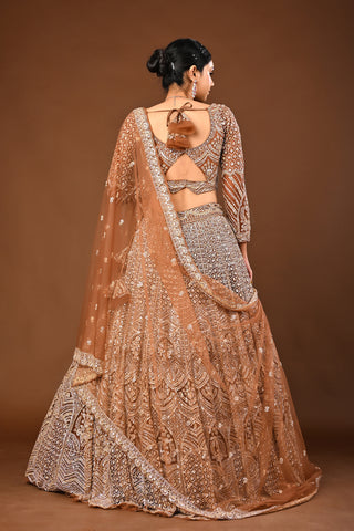 Coffee Brown Lehenga in Soft Net featuring Cutdana with Sequins