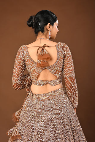 Coffee Brown Lehenga in Soft Net featuring Cutdana with Sequins