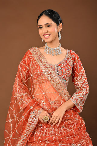 Vibrant/Fanta orange Soft Net Lehenga: Mirror