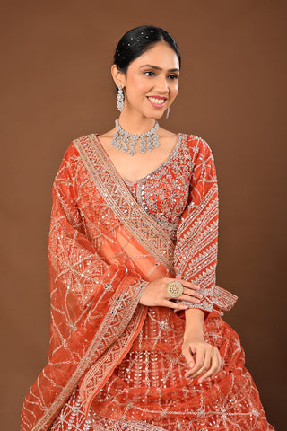 Vibrant/Fanta orange Soft Net Lehenga: Mirror
