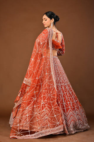 Vibrant/Fanta orange Soft Net Lehenga: Mirror