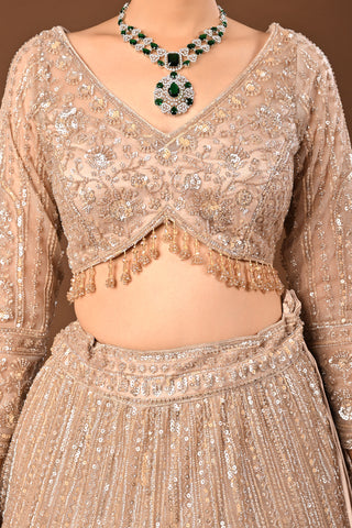 Golden Brown skin tone / beige Lehenga crafted in Soft Net with Hand Pearl with Cutdana