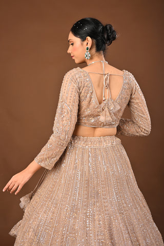 Golden Brown skin tone / beige Lehenga crafted in Soft Net with Hand Pearl with Cutdana