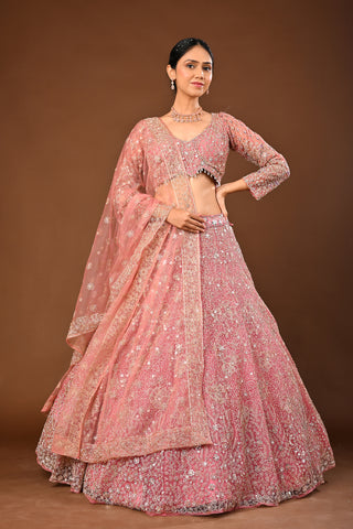 Baby pink Soft Net Lehenga with Stone with Mirror and Zari