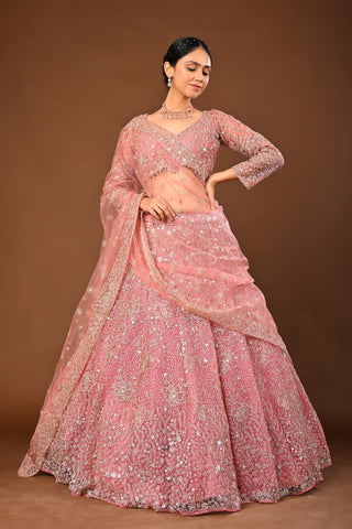Baby pink Soft Net Lehenga with Stone with Mirror and Zari