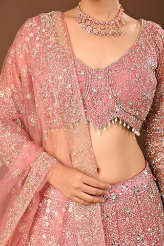 Baby pink Soft Net Lehenga with Stone with Mirror and Zari