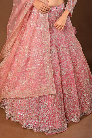 Baby pink Soft Net Lehenga with Stone with Mirror and Zari