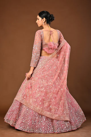 Baby pink Soft Net Lehenga with Stone with Mirror and Zari