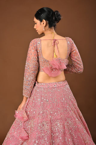 Baby pink Soft Net Lehenga with Stone with Mirror and Zari