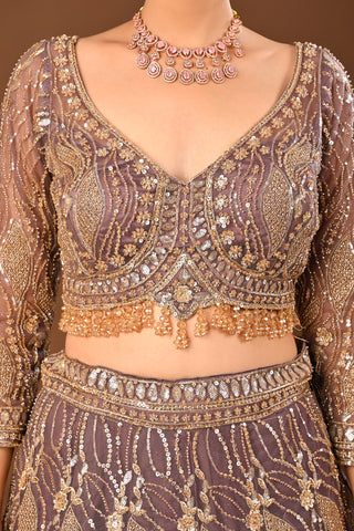 MAUVE Lehenga in Soft Net featuring Cutdana, Tubelight and Sequins