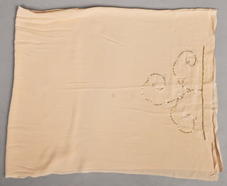 Beige Platinum Chiffon Saree with Sequins Jaal with Aari Kasab motifs