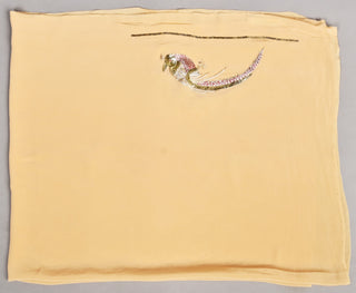 Beige Platinum Chiffon Saree with Kasab bird motif with pearl work
