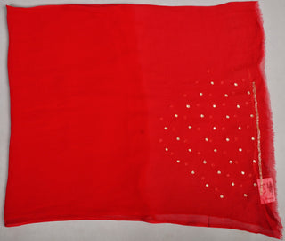Red Chiffon Saree with Aari Pittan work with cutdana